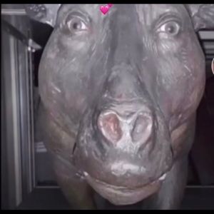 Meet your Posher, Nicolas